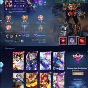 Renowned Collector ACC